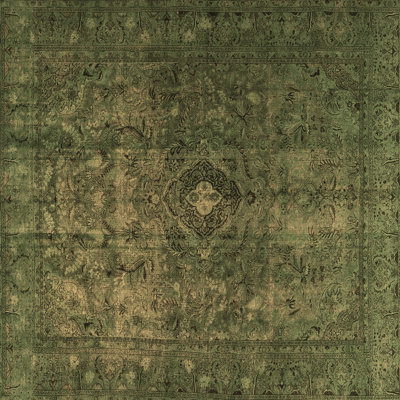 Jionnie Oriental Indoor Rug