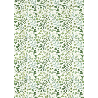 Onni Fabric