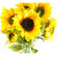 Plastic, Silk Artificial Arrangement-89222296