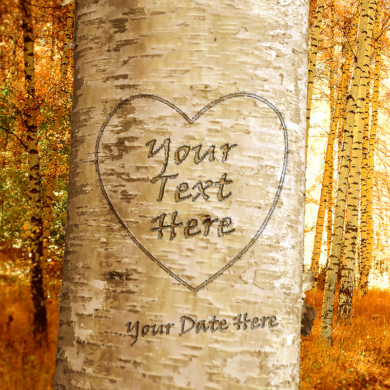 «Love Grows», impression sur toile, cadeau pour anniversaire, Saint-Valentin ou mariage., Toile encadrée noire