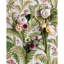 Pashley Print-1047634565