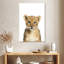 Adorable bébé lion Brampt-108381854