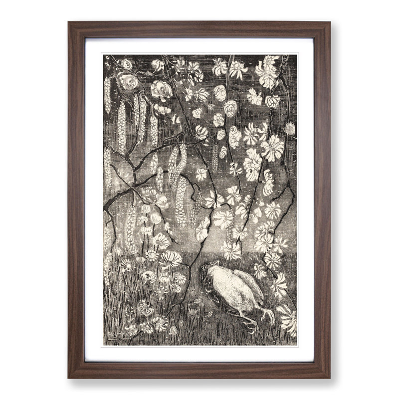 Dead Bird by Theo Van Hoytema - Picture Frame Graphic Art, Walnut Framed, 65cm H x 48cm W x 2cm D