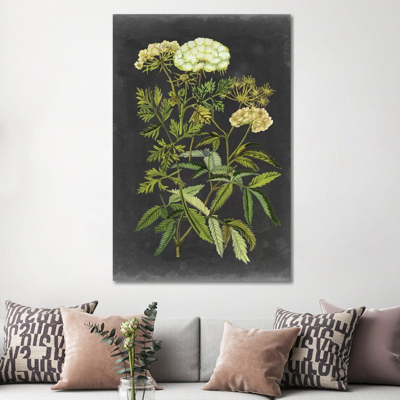 Bookplate Floral I by Naomi McCavitt - Wrapped Canvas Painting, 152.5 cm H x 101.5 cm W