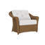 Reflections Outdoor Lounge Chair-1842485988