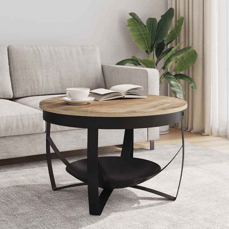 Ediberto Frame Single Coffee Table with Storage