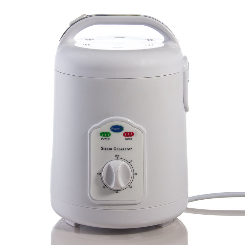 0.8 Steam Generator