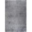 Rapture Checkered Area Rug in Gray/Black-68900997