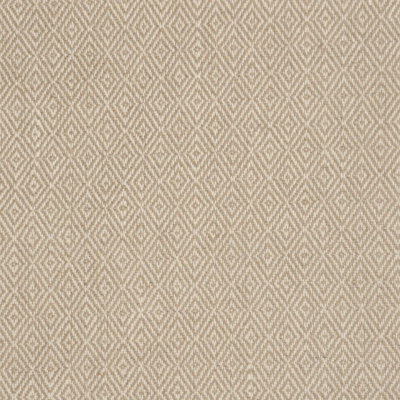 Clawson Linen Fabric