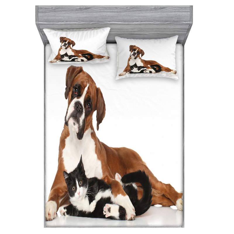 Microfiber Sheet Set, Queen Sheet + Fitted Sheet + 2 Pillowcases