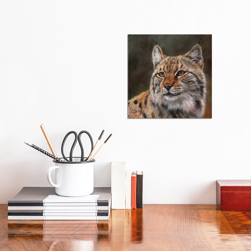 Eurasian Lynx by David Stribbling - Wrapped Canvas Print, 30.48 cm H x 30.48 cm W