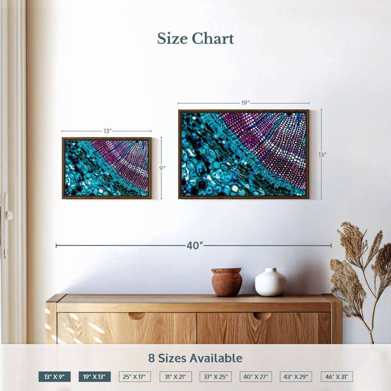 Pine Stem Under Microscope, 19" X 13", Floating Frame Walnut