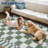 Checkered Rug for Living Room Washable Bedroom Rugs Non Slip Back Modern Classic Area Rug for Kids Boys Bedroom Home Decor Carpet for Dining Room Office-434211345-434211333