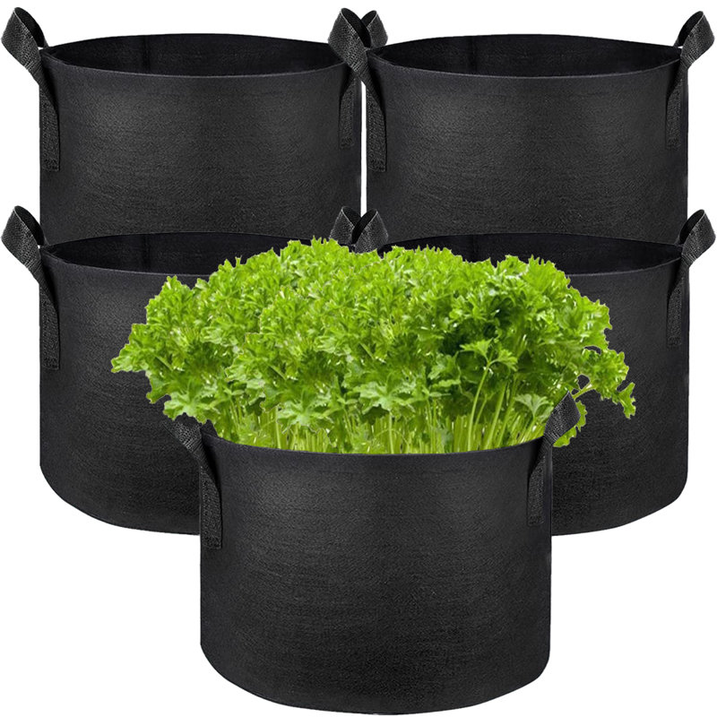 Tonecia Nursery Pot, 11" H x 13.78" W x 13.78" D