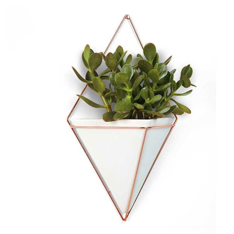 Abedin Hanging Planter