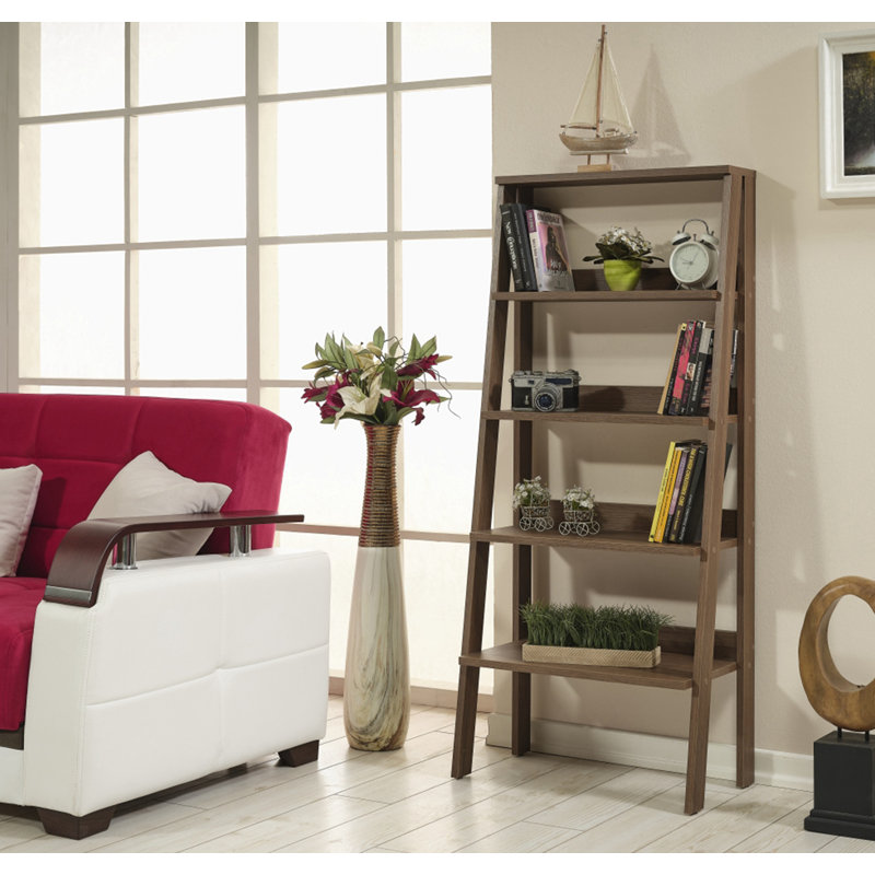 Ladder Bookcase