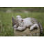 Statue de chat
