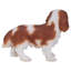 Statue du roi Charles Spaniel debout