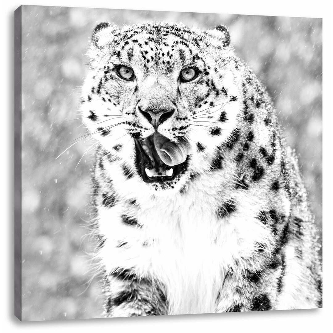 Fotodruck Leopard im Schnee