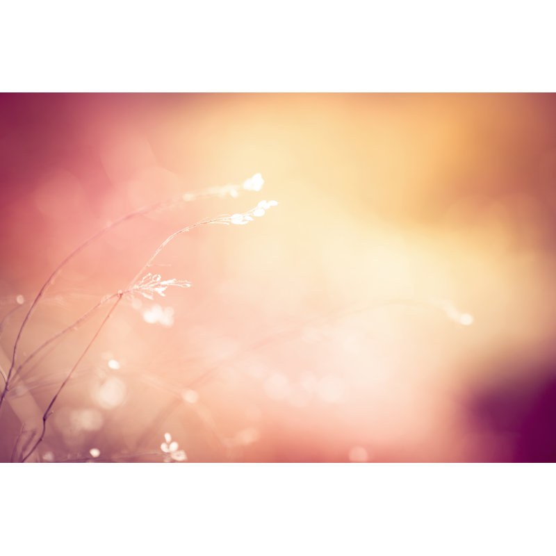 Silhouette de fleurs sauvages séchées par Jasmina007, H 8 po x l 12 po