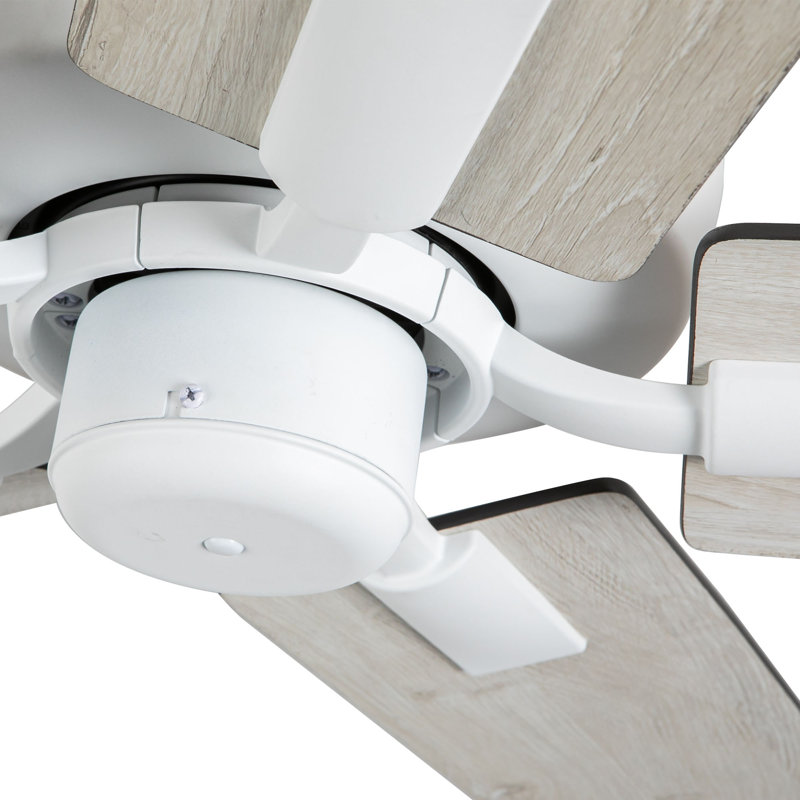 Erikson Ceiling Fan, White, Brown