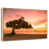 Floating Frame Natural Wood