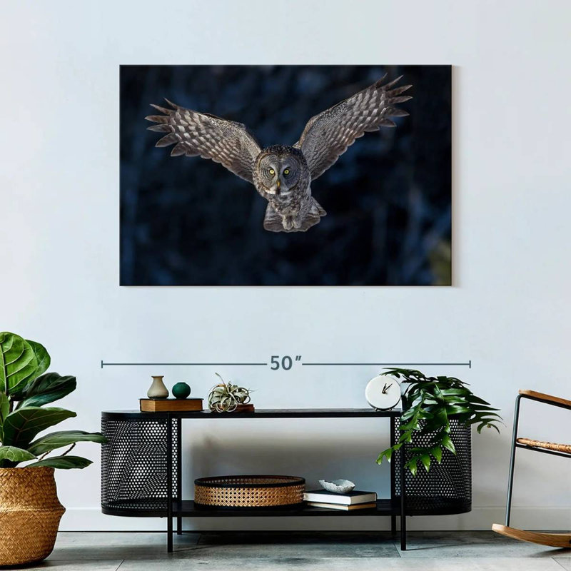 Flying Gray Owl, 30" H x 45" W