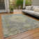 Machine Washable Indoor/Outdoor Colman ACN2136 Global Rug