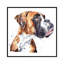 « German boxer » par Edwatercolours-impression-54008254-54008241-54008238