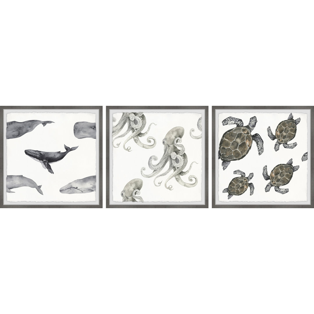 Melbeta Whales and Octopus by Marmont Hill - 3 Piece Picture Frame Painting Print Set on Paper