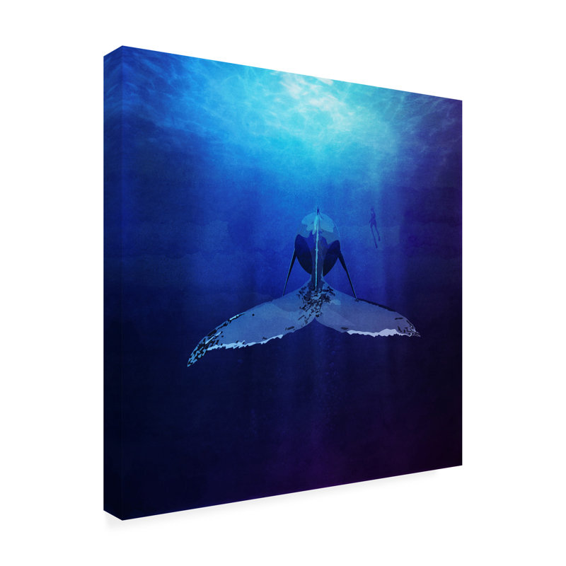 Baleine bolognaise, impression, H 24 po x l 24 po