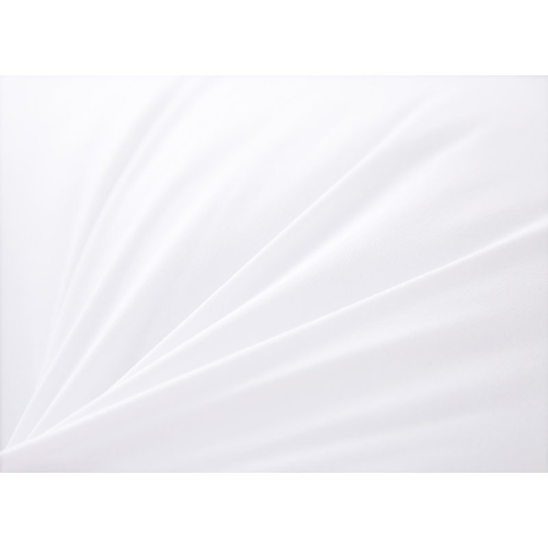 Solid Colour Reversible Pillow Insert, 22" H x 22" W