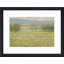 «Summer Pasture I» par Stephen Calcasola - reproduction d'art encadrée-1377222891-1421618151