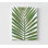 Feuille de palmier, reproduction de photo encadrée, photo de plage décorée, impression de plantes tropicales, décoration murale botanique, art mural encadré, art mural surdimensionné