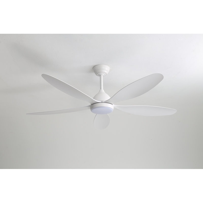 5-leaf white ceiling fan