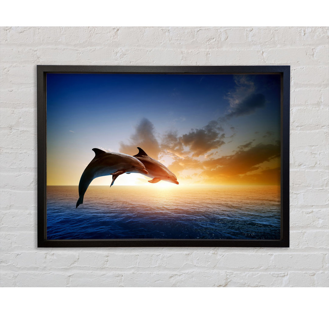 Gerahmtes Poster Jumping Sunset Dolphins