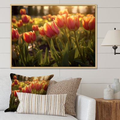 Tulip Field I sur toile