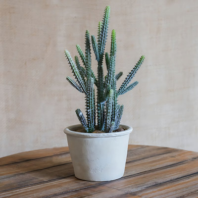 Juhan Simulation Cactus Bonsai Pottery Series Decorative Ornaments, Immortal Pillars, Immortal Balls, Rare Species, Nordic Style