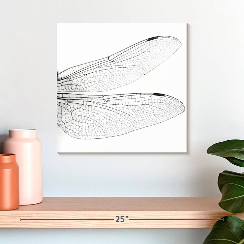Brampt Dragonfly Wings, 16" H x 16" W