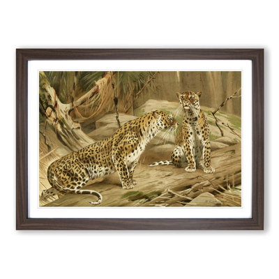 Wilhelm Kuhnert - Single Picture Frame Painting