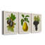Antique Fruit VI - ensemble de 3 reproductions d'art sur toile-1071139948-1071139947