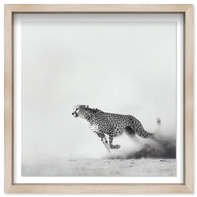 Cheetah Run Print by Oliver Gal