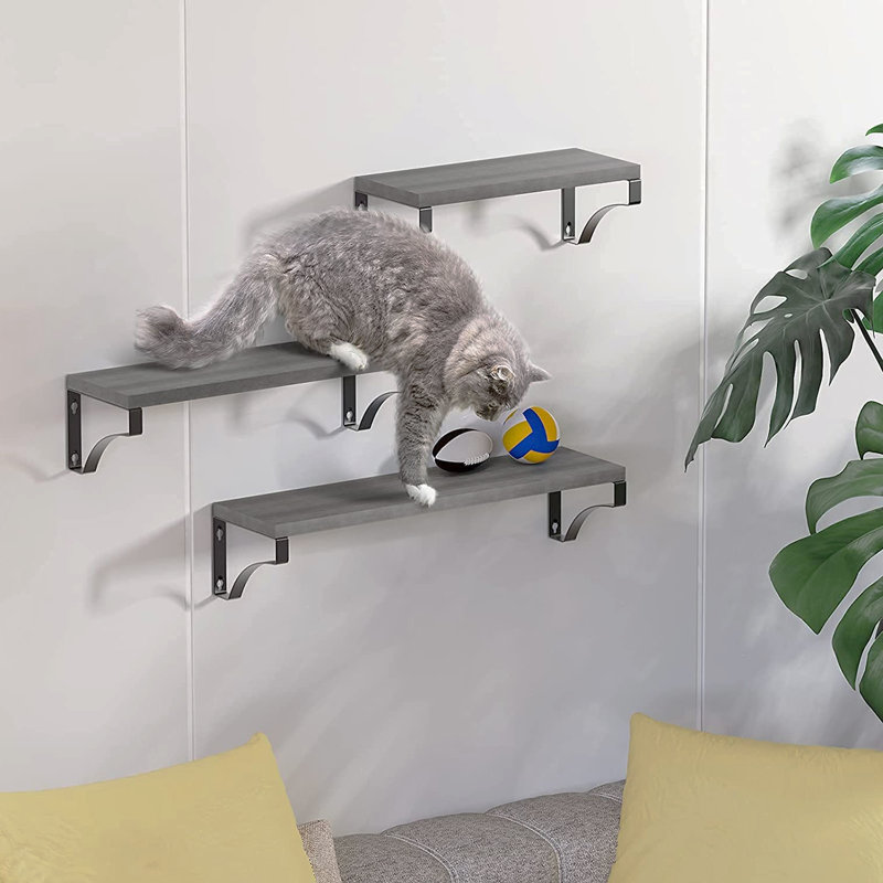 Addiena 3 Piece Paulownia Solid Wood Floating Shelf, Grey