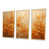 Maple Floater Framed selected