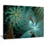 « symmetrical fractal fleur », impression-34401589-34401591