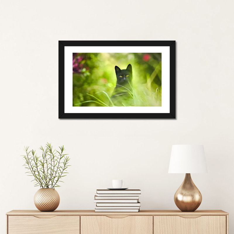 « Black Cat » par Ben Heine-reproduction de photo, H 16 po x l 24 po x P 1 po, Papier encadré noir, Blanc
