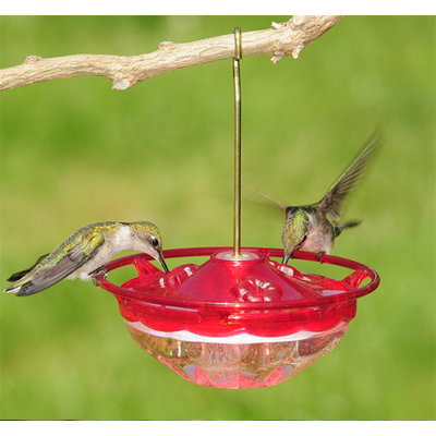 Aspects HummZinger HummBlossom Nectar Bird Feeder with 3 Feeding Ports, 4oz Capacity