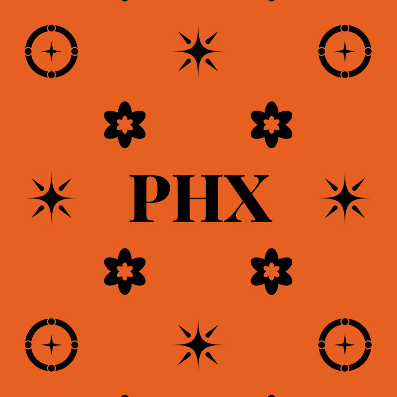 Oreiller en coton sergé Phoenix Basketball 20 po x 14 po, Orange / noir