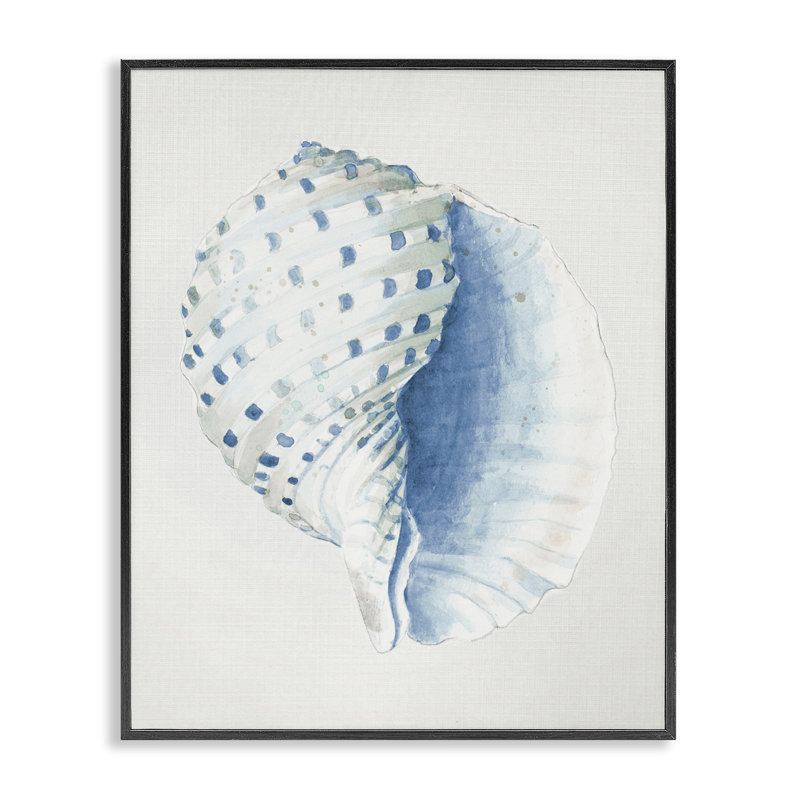 Giclée de conque tachetée par Patricia Pinto, Giclée encadrée noir minuit, H 14 po x l 11 po