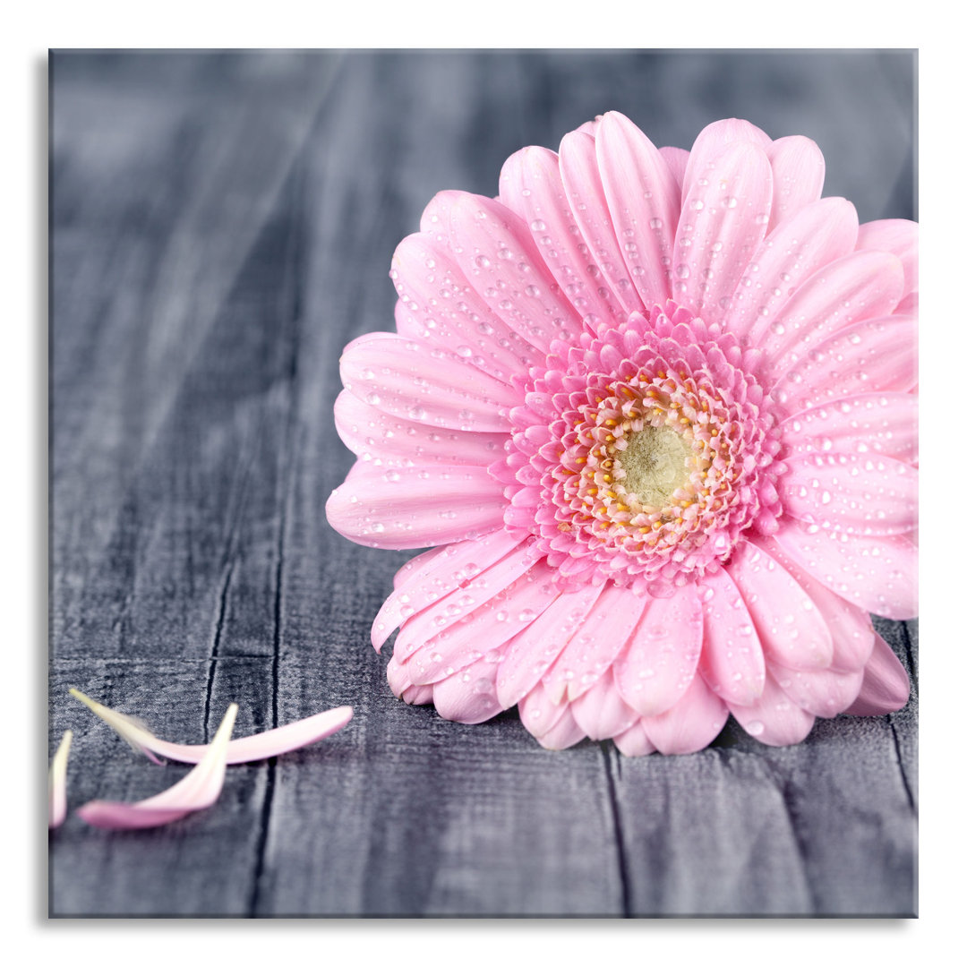 Glasbild Rosa Gerbera auf rustikalem Grund